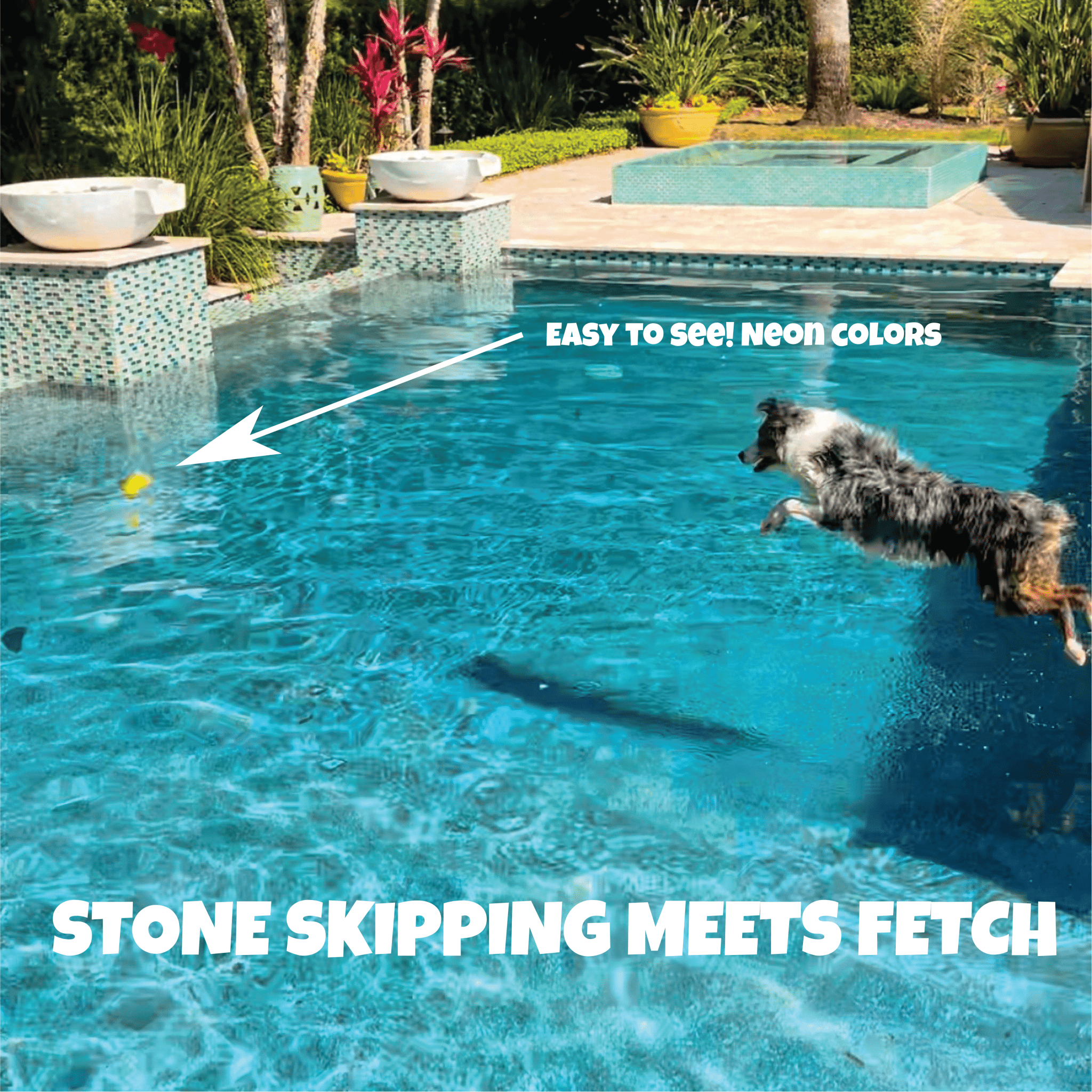 Skip NN' Fetch Dog Toys (QTY 2 Stonnes) FREE Reward - SCORE NN'