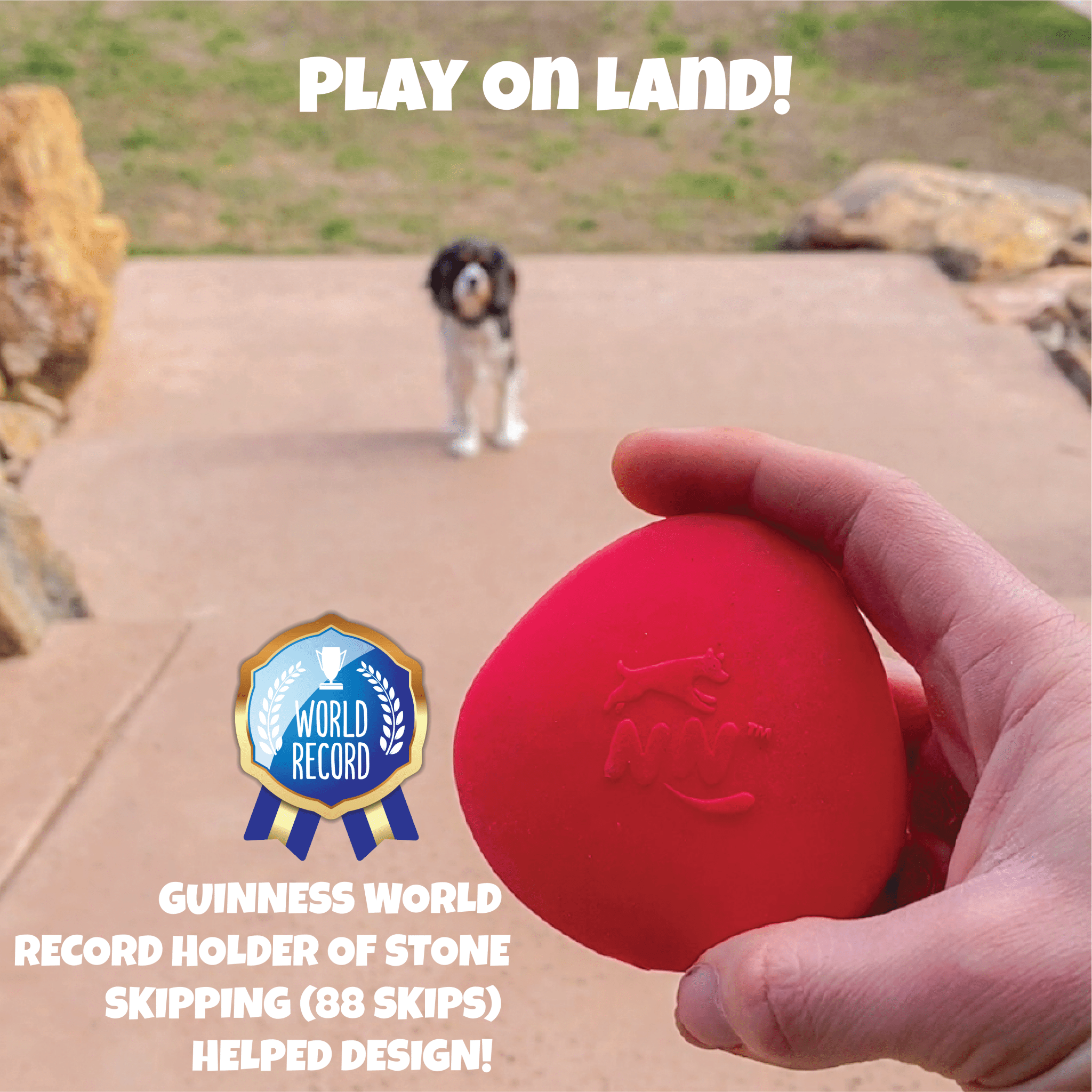 Skip NN' Fetch Dog Toys (QTY 2 Stonnes) FREE Reward - SCORE NN'