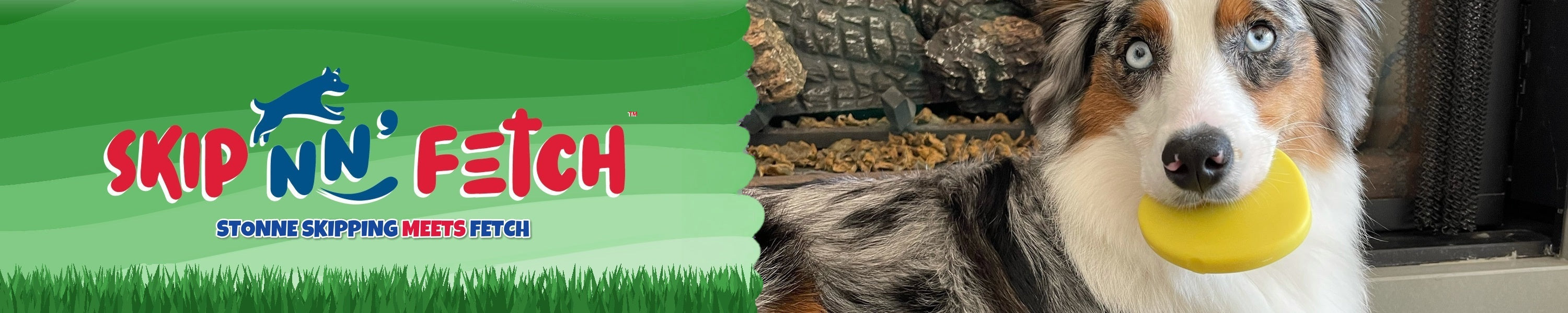 Product Banner Image